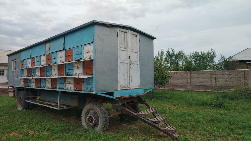 Асалари павильони. Пчело прицеп 88 уля