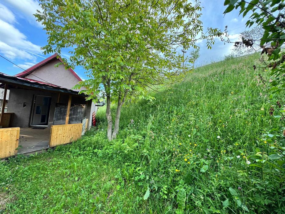 Casa de vanzare la tara , judetul Bacau, satul Bolovanis, plus anexa si sura. Suprafata teren 2000mp.
