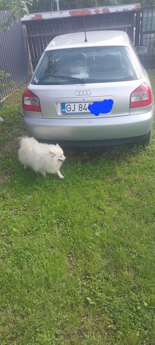 Vand  Audi.  A  3