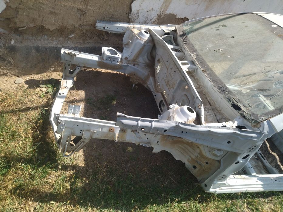 Jentra kuzof sotladi