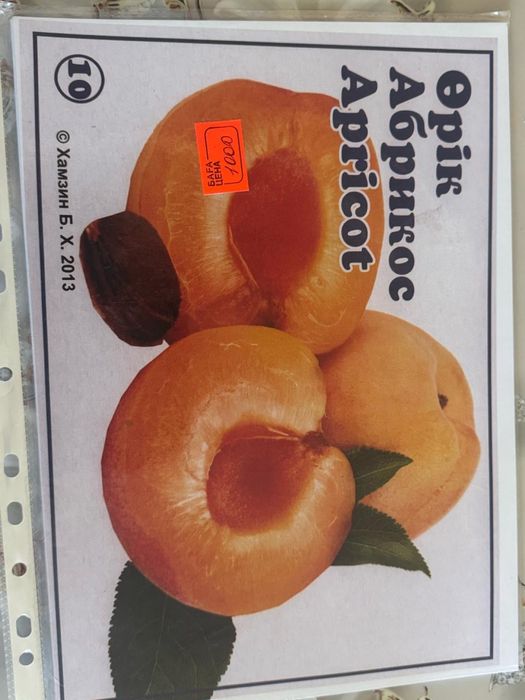 Продам книжки для садика!!!