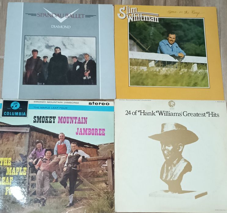 Vând discuri vinil în stare foarte buna