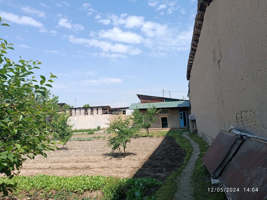 Kafolati bor yaxshi joy