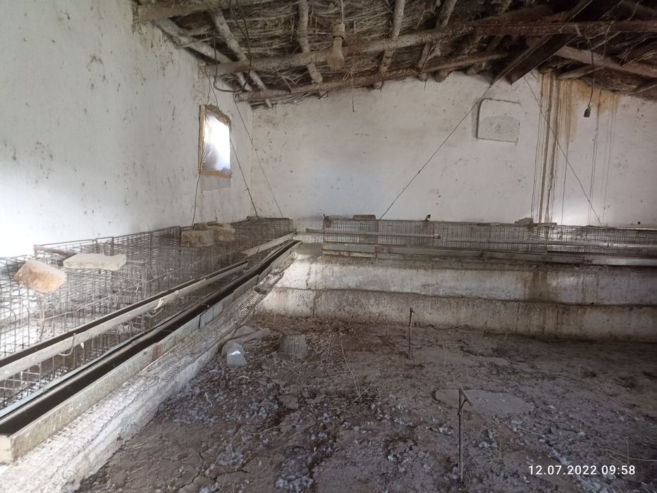 Tovuq sitkalari sotiladi