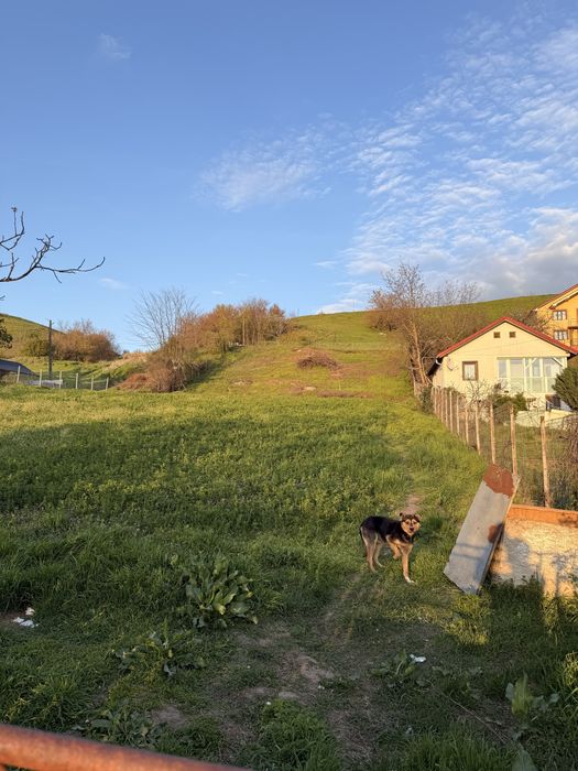 Teren intravilan - Comuna Teslui, sat Cherlestii din Deal