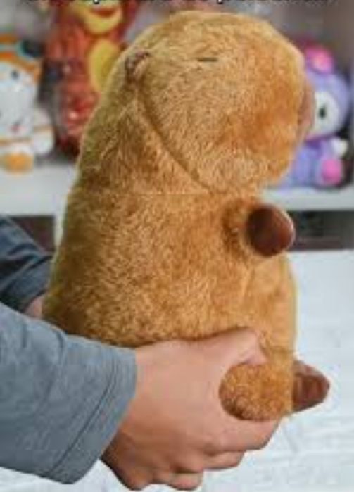 Голяма плюшена капибара 50см 70см