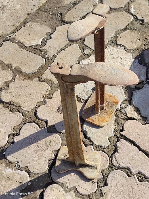 Лапа сапожная продам