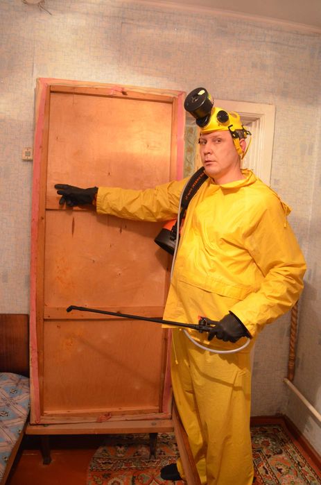 Клопы...за мной не надо переделовать   (опыт) Сергей