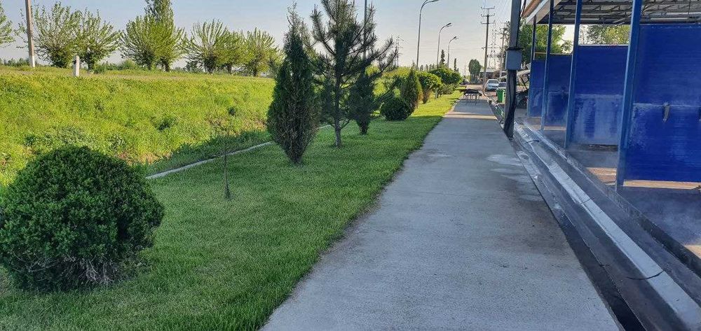 Продажа автосервис Юкори Чирчик