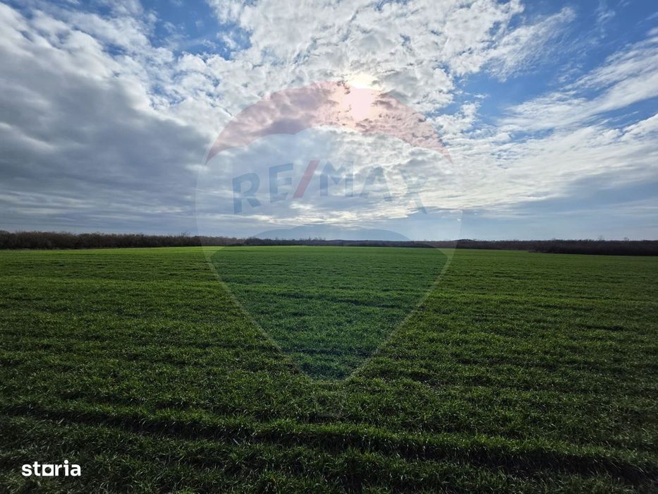 Vânzare teren agricol 12 ha, Giarmata - Jud. Timiș