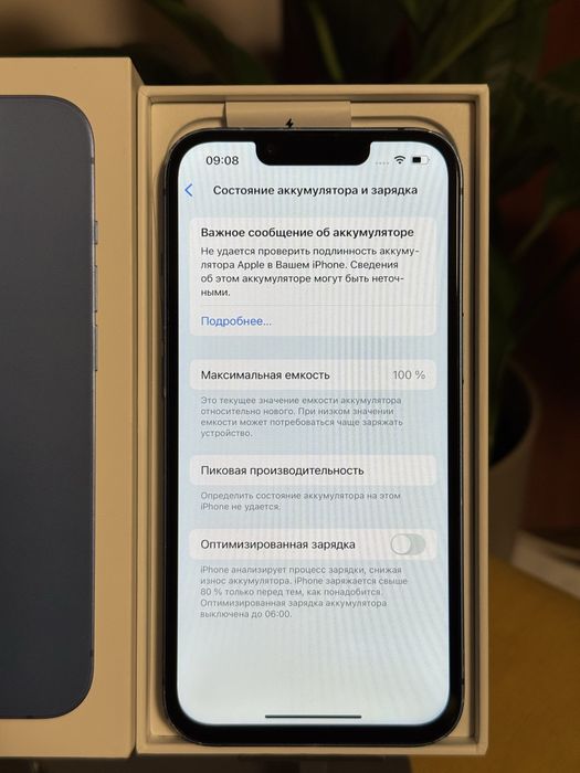 Iphone 13 емкость 100