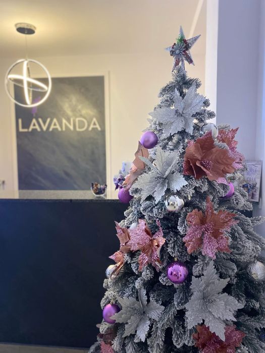 REVELION 2026 Pensiunea Lavanda, Piatra-Neamt