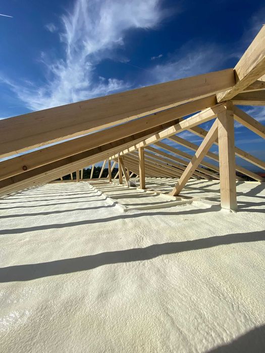 spuma poliuretanica / poliuree / termoprotectie si ignifugare IGSU