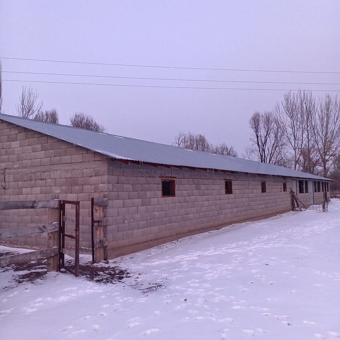 Үй сатылады, продается дом