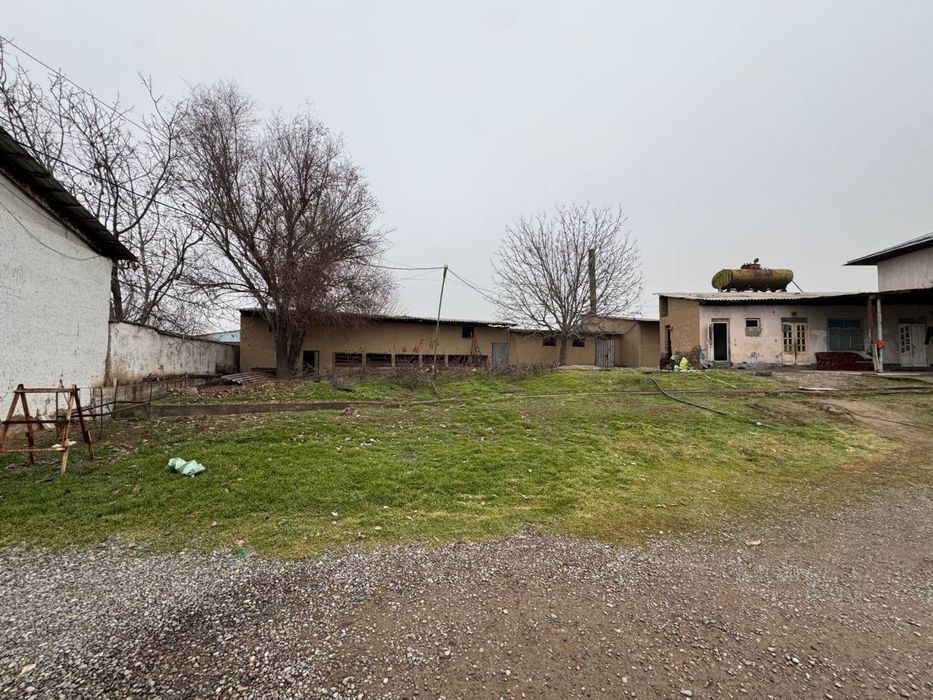 Srochna! Kotej yo’ki do’m qursa bo’ladi ruxsatini olib
