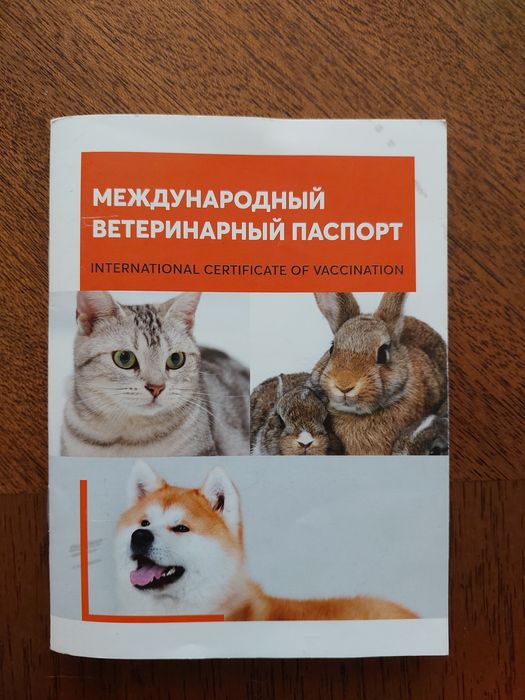 Отдам кота в добрые руки
