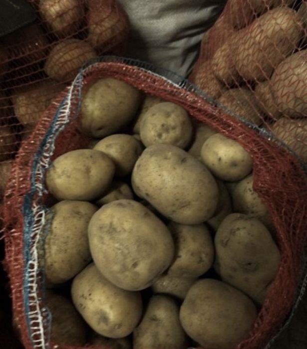 Продам картошку местную