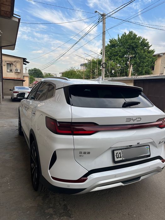 BYD Chempion Restaling 2024