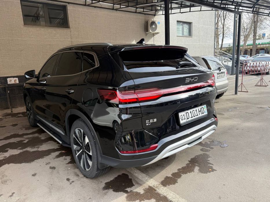 BYD Chempion 2025
