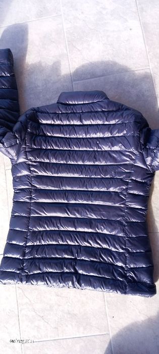 Geacă Tomy Hifliger L damă