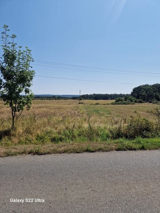 Teren în Târgu-Cărbunești - 12500 mp - 10€/mp