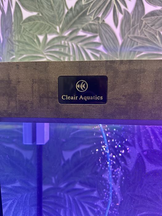 Завод аквариум продам