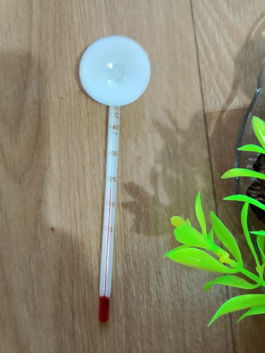 Дъно за аквариум