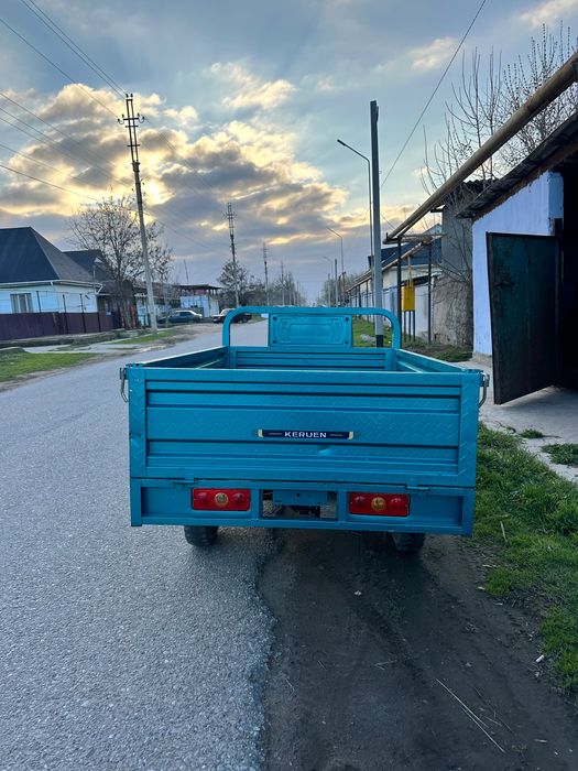 Муравей электрический