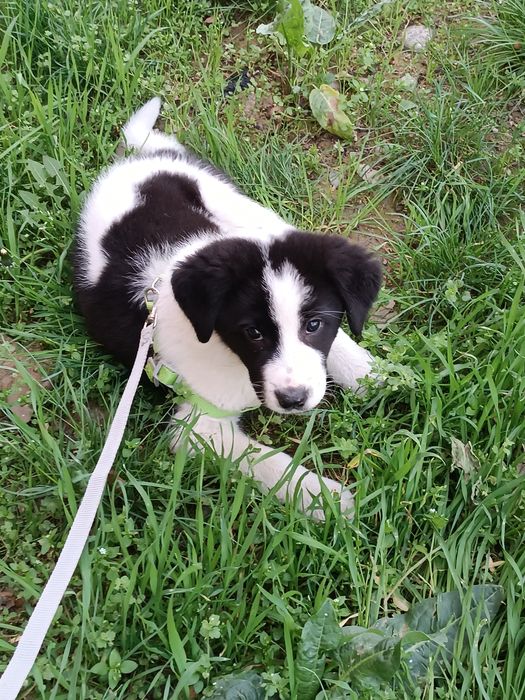 Только в ответственные руки!