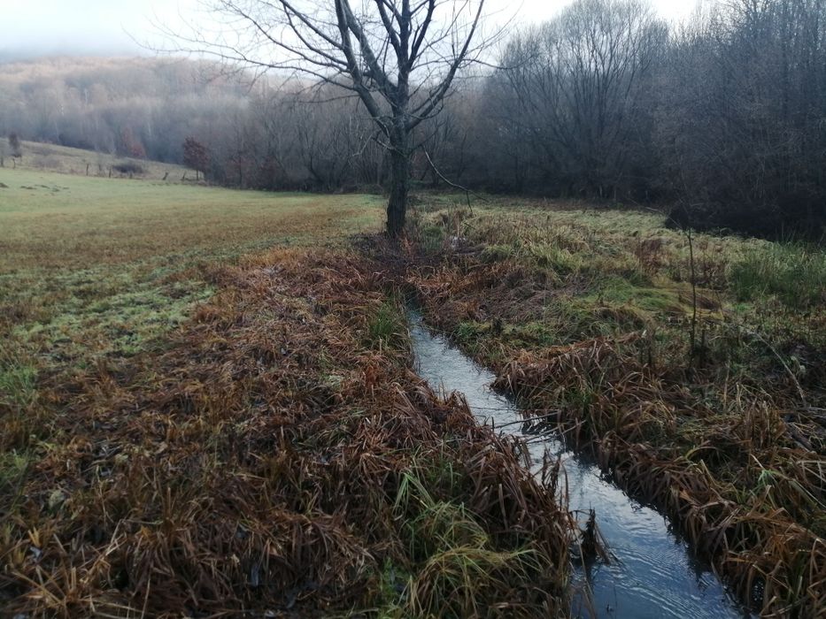 Teren de vânzare sovata