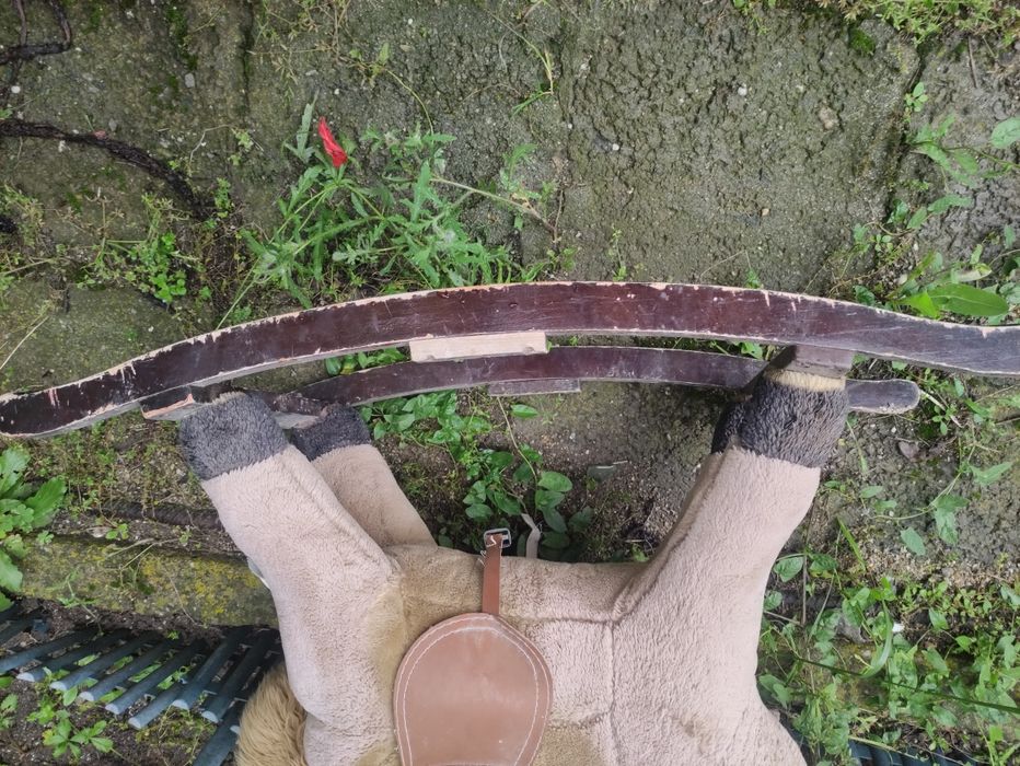 Люлеещо се конче