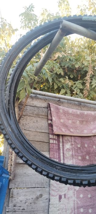 пара ризины от велика