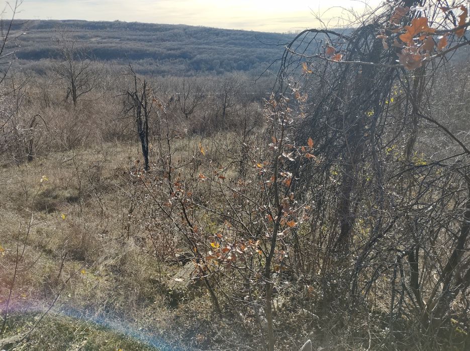 Земеделски имот Шереметя