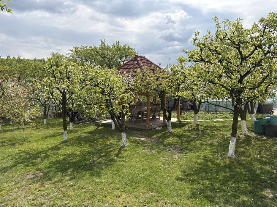 Casa de vanzare