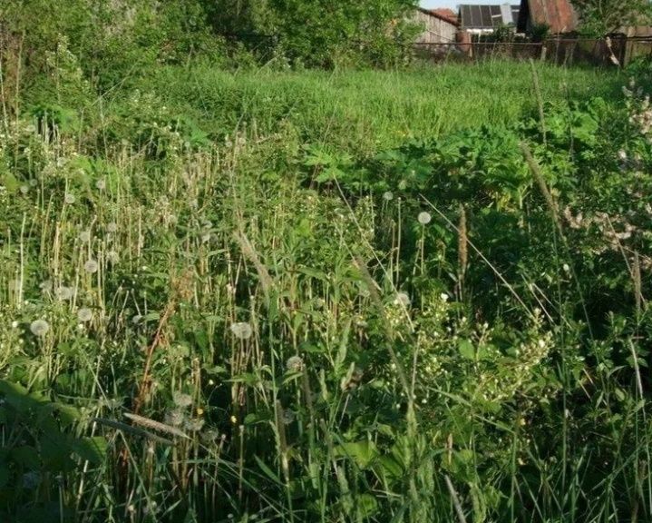 Продам участок с пропиской в городе