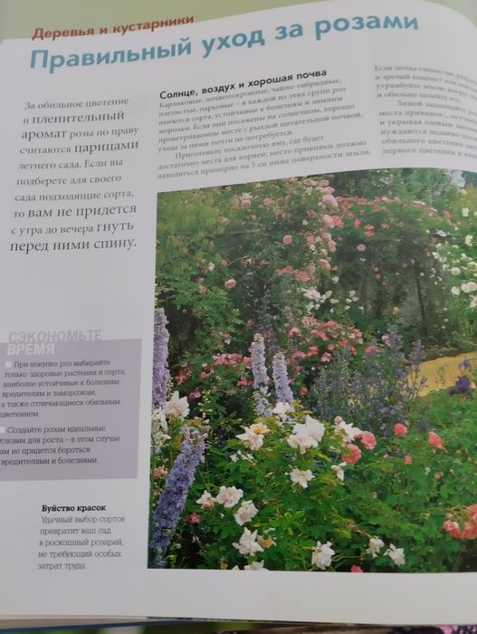 Книга для сада с иллюстрациями