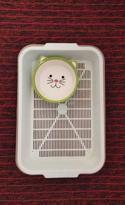 Кошачий рюкзак-переноска