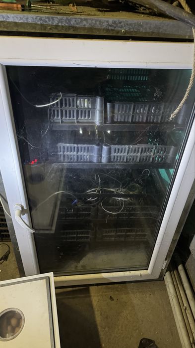 Инкубатор для яйцо