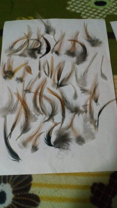 продам перо