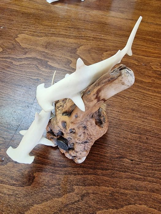 Скулптура на акули чук на Джон Пери от 1973г