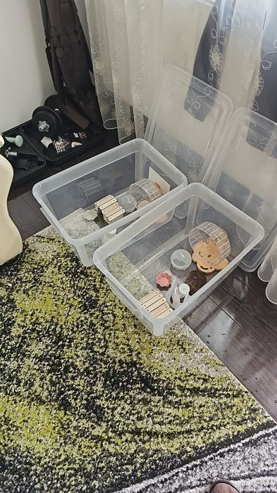 Cutie pentru Hamsteri +accesorii