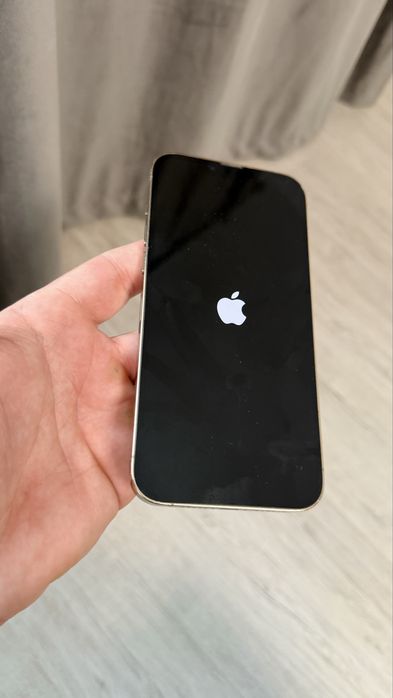 Iphone 13 Pro Max 256Gb