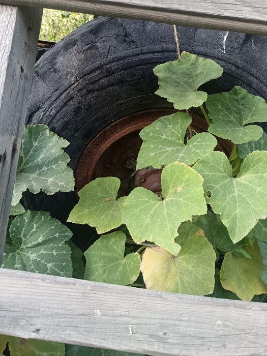 Колесо от прицепа