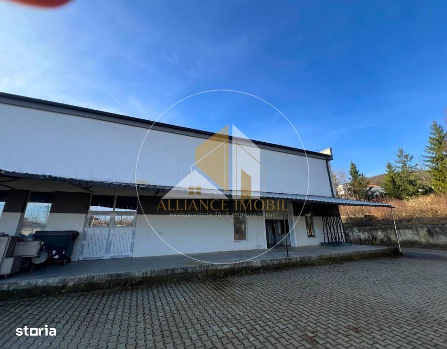 Spatiu industrial cu utilizare mixta(productie ,depozit, birouri) –