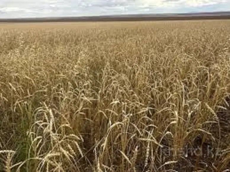 Участок 233га, Карагандинская область