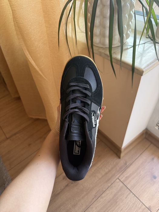 Puma palermo elevata