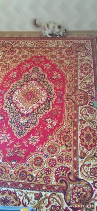 Продам шерстяной ковер.