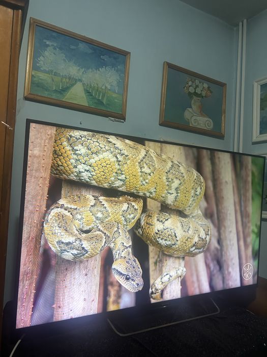 Televizor plasma sony