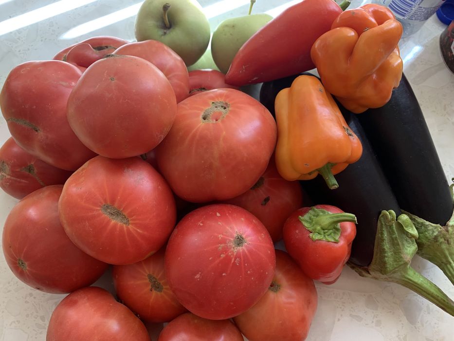 Дача на Шубарсу