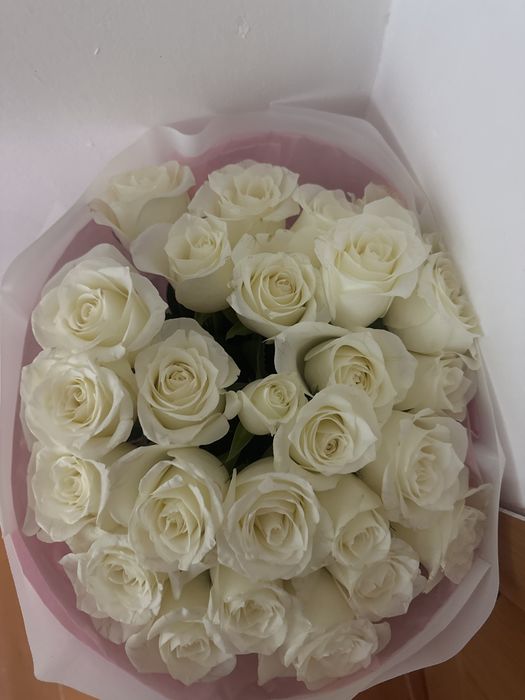 25 роза цена 10к